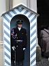 Guard outside castle district.JPG